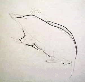 Кротик для рисования