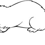 Как поэтапно нарисовать Бабр