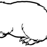 Крот раскраска