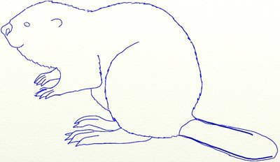 Крот звездорыл раскраска