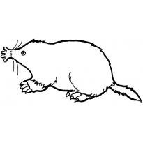 Нора крота в разрезе