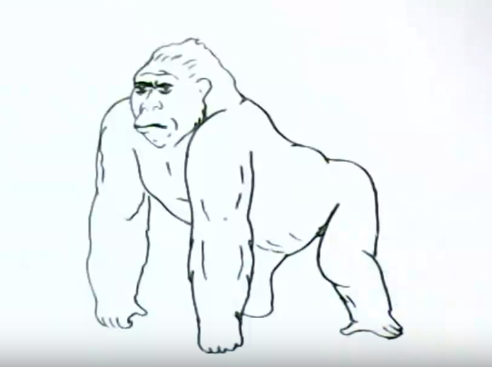 Горилла легко