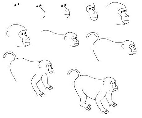 Поэтапное рисование обезьяны