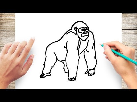 Рисунок гориллу для детей карандашом поэтапно легко