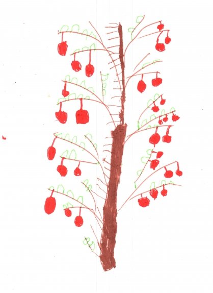 Рисование с натуры фрукты