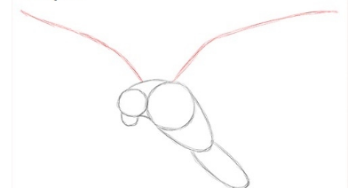 Нарисовать Сокола по этапу