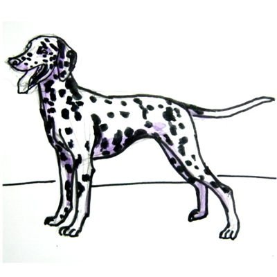 Поэтапное рисование далматинца