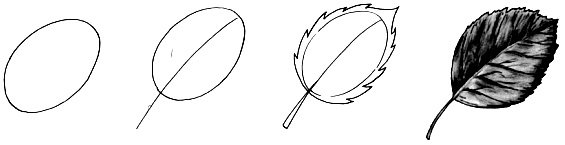 Лист осины поэтапное рисование