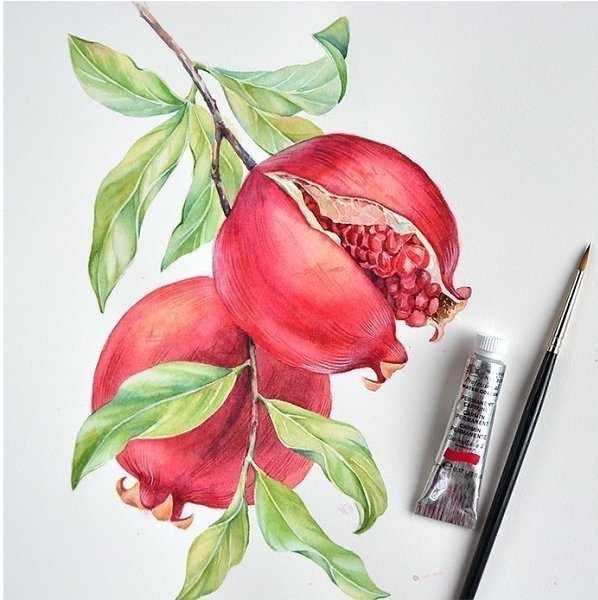 Гранаты акварелью