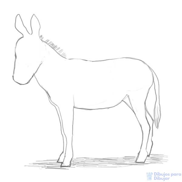 Поэтапное рисование ослика для детей