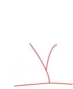 Ива раскраска для детей