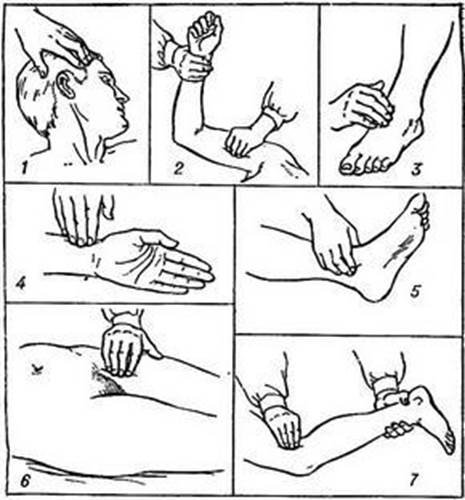 Измерение пульса на бедренной артерии алгоритм