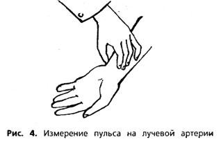 Подсчет пульса на лучевой артерии