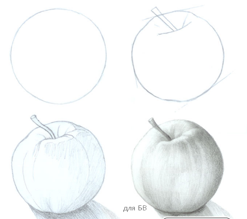 Дедушка рисунок карандашом