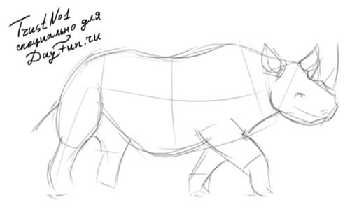 Поэтапное рисование носорога