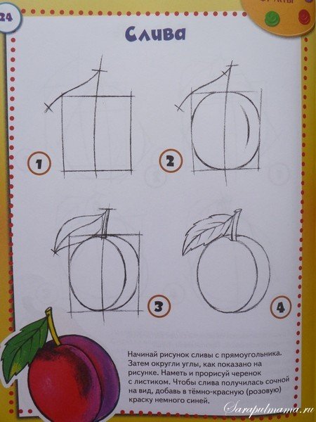 Рисование овощей пошагово