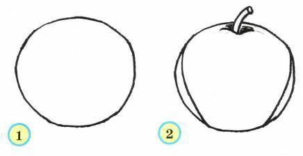 Поэтапное рисование яблока для дошкольников