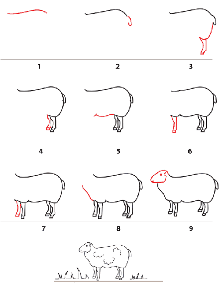 Поэтапный рисунок овечки