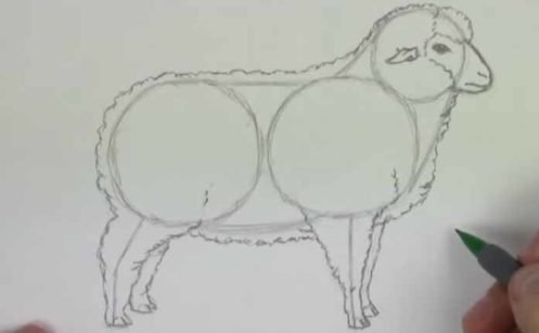 Как нарисовать ягненка поэтапно