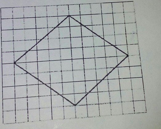 Звезда на клетчатой бумаге