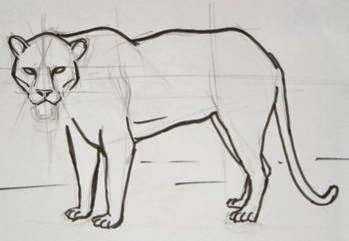 Ага рисовать Ягуар рисовать легко поэтапно