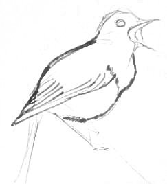 Легкий рисунок вороны и соловья