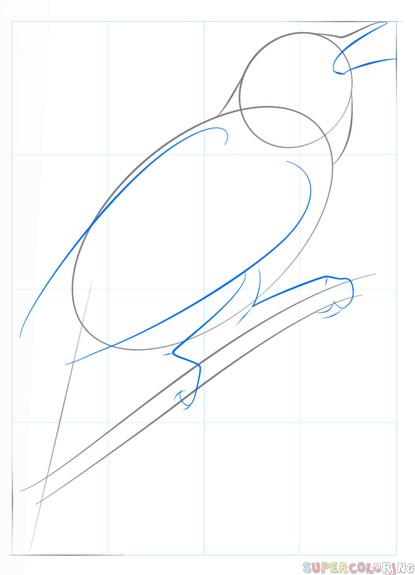 Этапы рисования Соловей