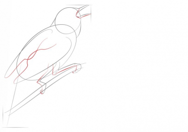 Соловей рисунок пошагово