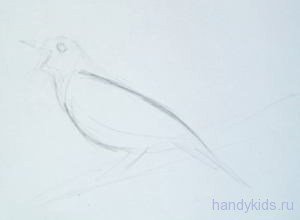 Соловей рисунок для детей карандашом поэтапно легко