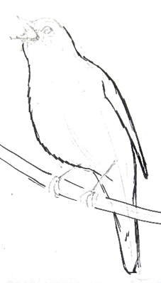 Соловей пошагово