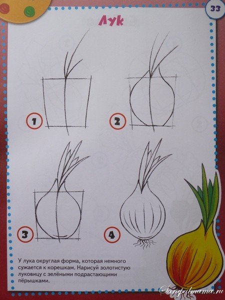 Поэтапное рисование овощей