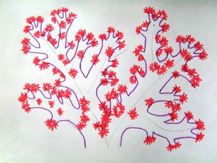 Красные водоросли Филлофора