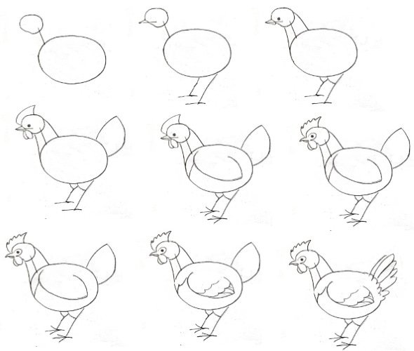 Поэтапное рисование курицы для детей