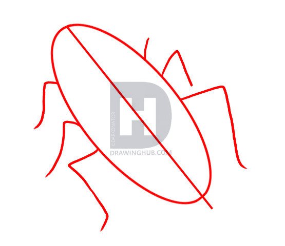 Таракан поэтапное рисование