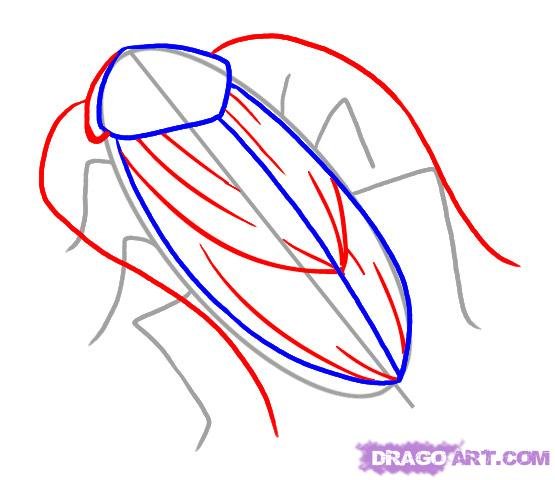 Таракан раскраска