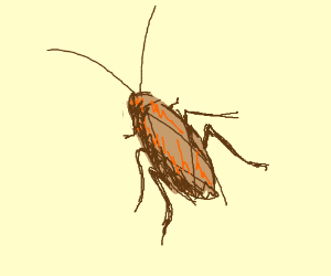 Таракан раскраска для детей