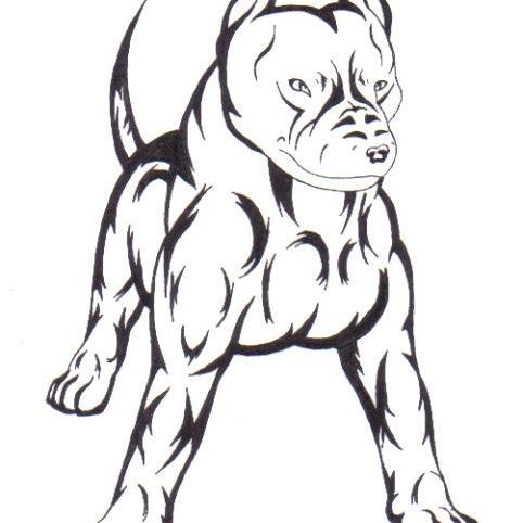 Схематично питбуль