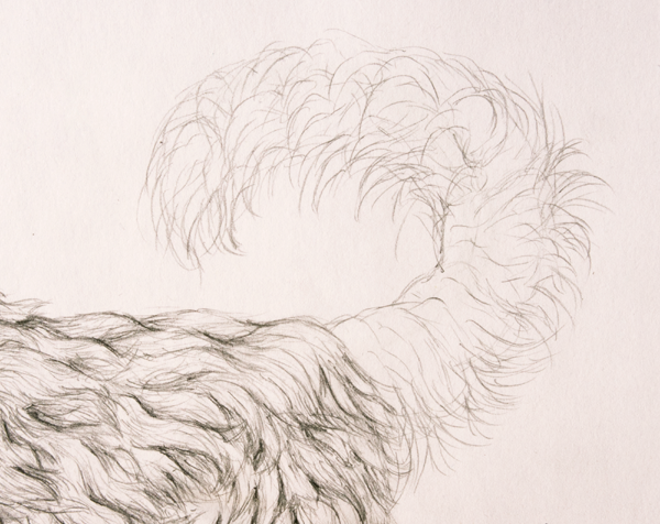 Рисование меха