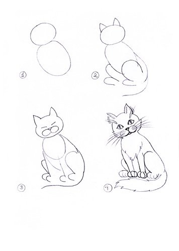 Схема рисования кошки для дошкольников