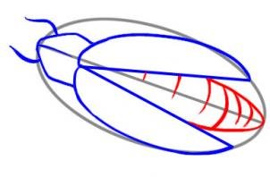 Светлячок карандашом