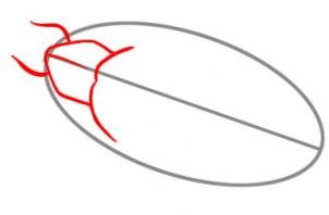 Светлячок поэтапное рисование