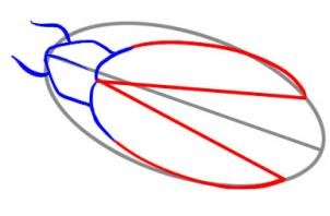 Рисование Светлячок