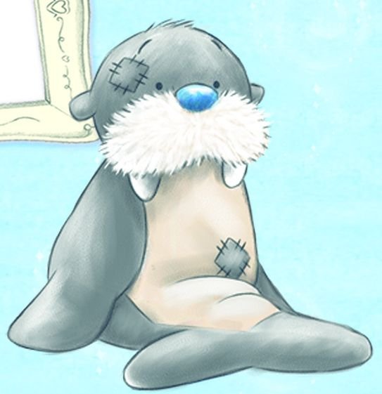 Мои голубоносые друзья медведь