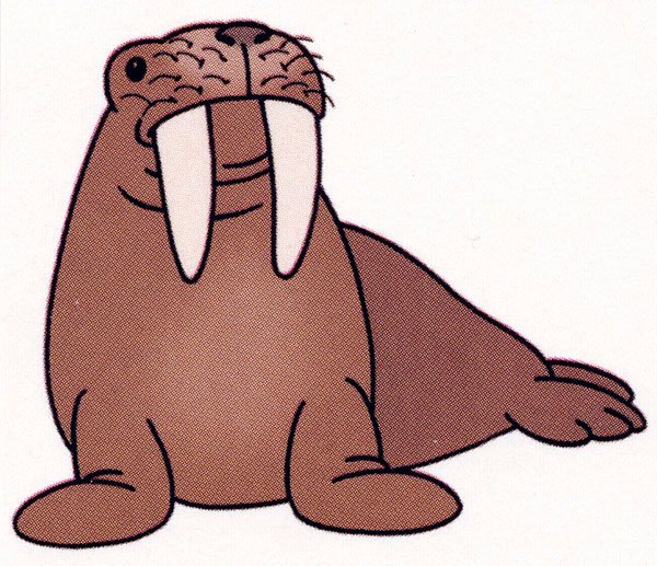 Морж рисунок