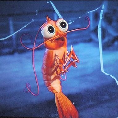 Для детей креветка веселая