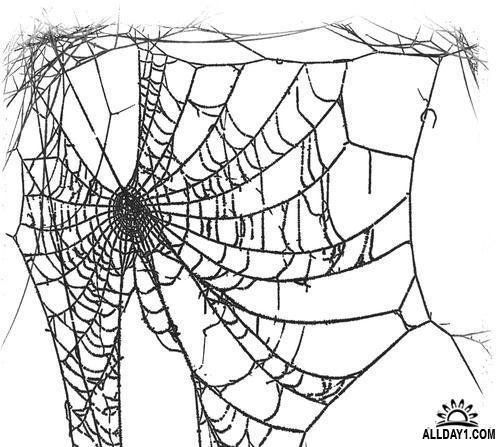 Паутина референс