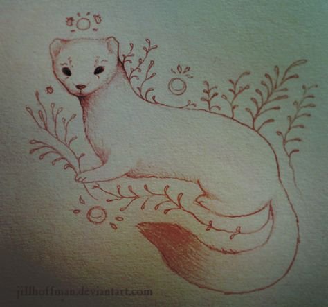 Тату хорек эскизы