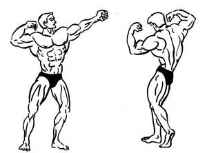Рисунок бодибилдинг позирование