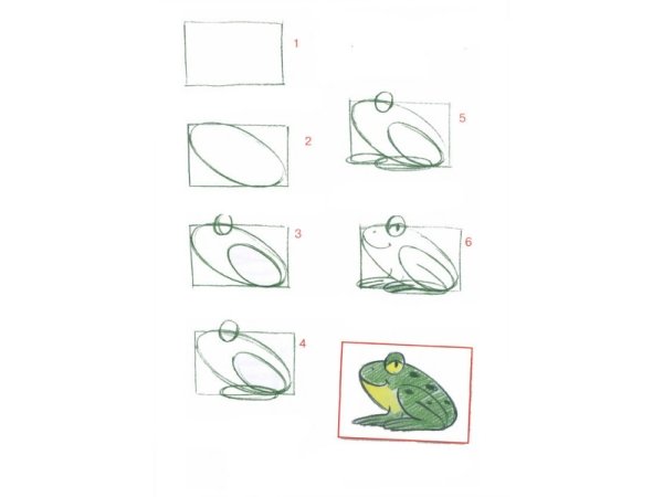 Лягушка рисование для детей легкий детский