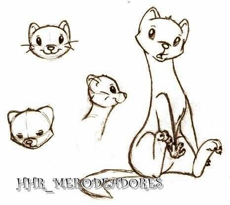 Хорек карандашом поэтапно